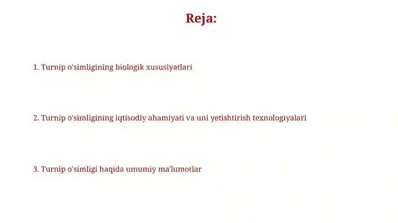 Turnip o'simligi haqida 2