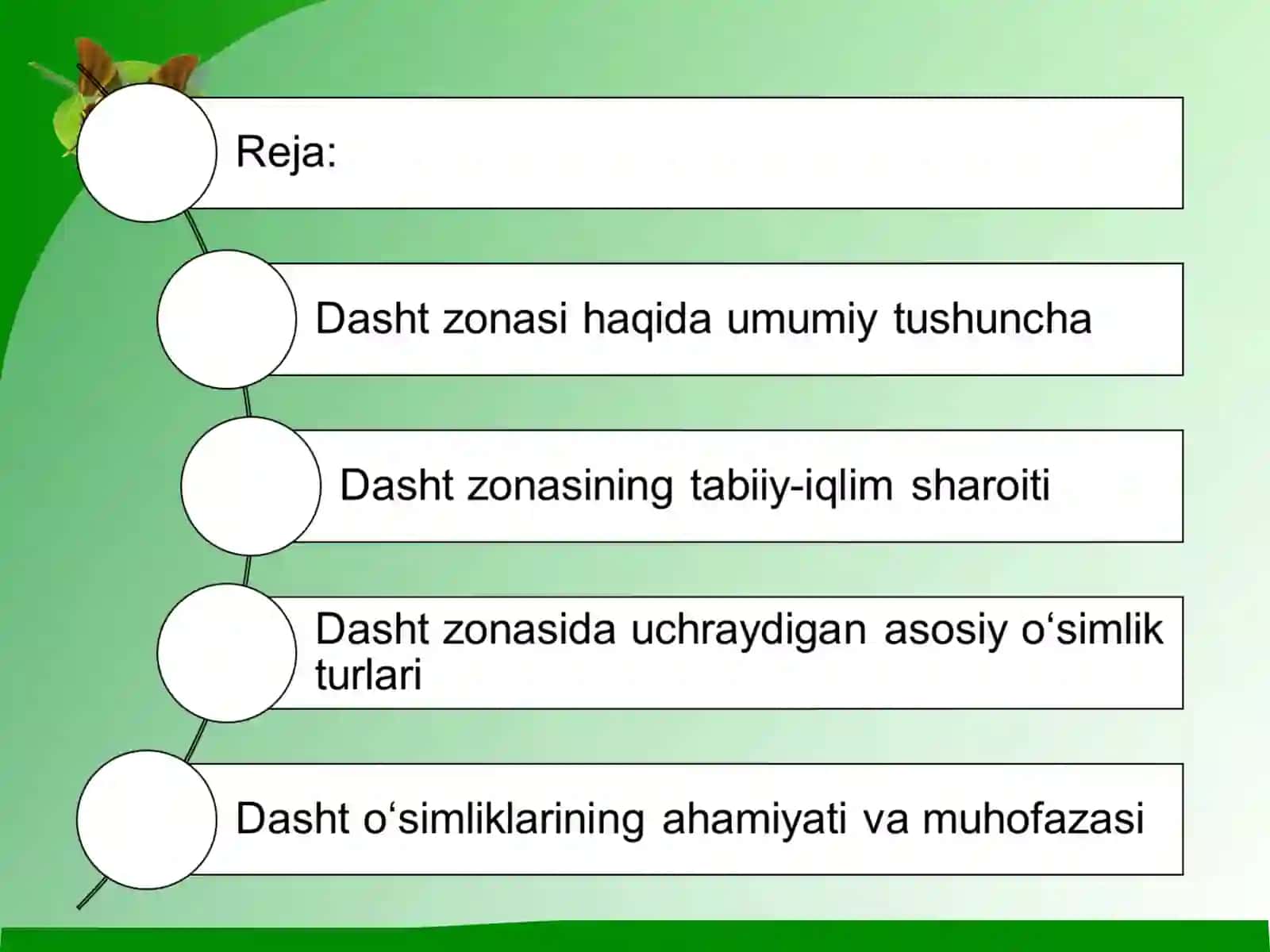 Dasht zoʻnasi oʻsimliklari 2