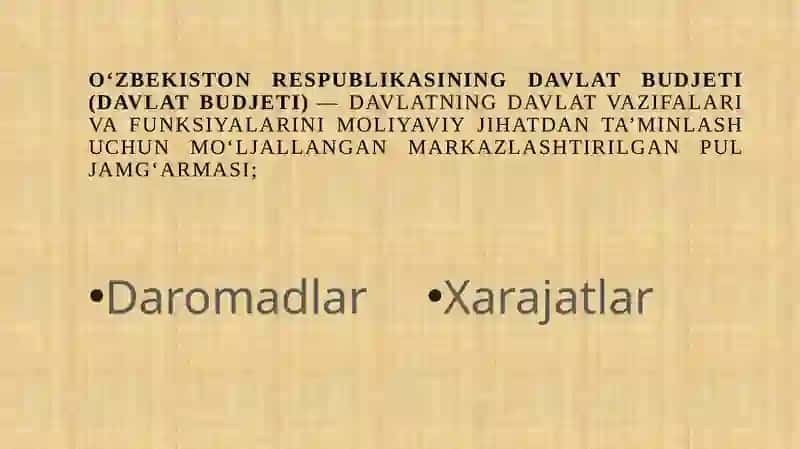 DAVLAT BUDJETI FROFITSITINING NEGATIV OQIBATLARI 2