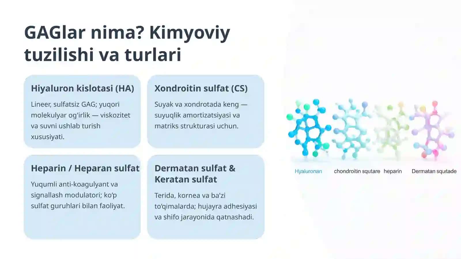 Glikozaminoglikanlar (GAGlar) va ularning tibbiyotda qo'llanilishi 2