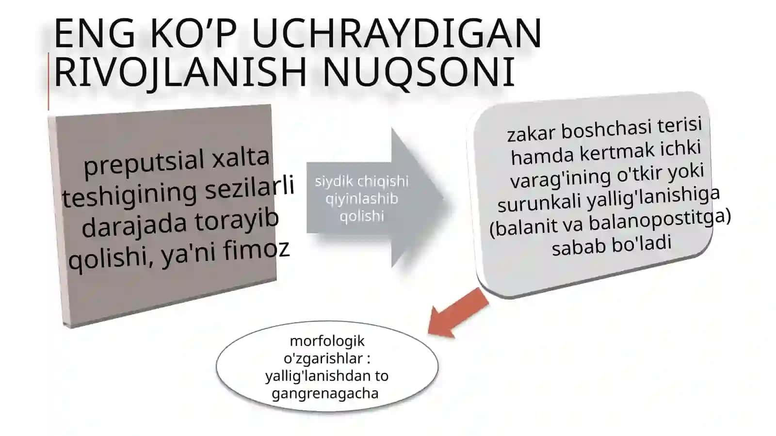 JINSIY OLATNING RIVOJLANISH NUQSONLARI VA O’SMALARI 2
