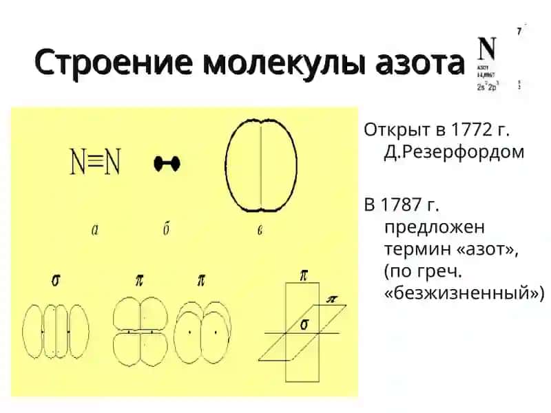 Азотное питание растений 2