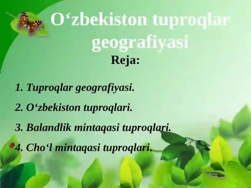 Tuproqlar geografiyasi 2