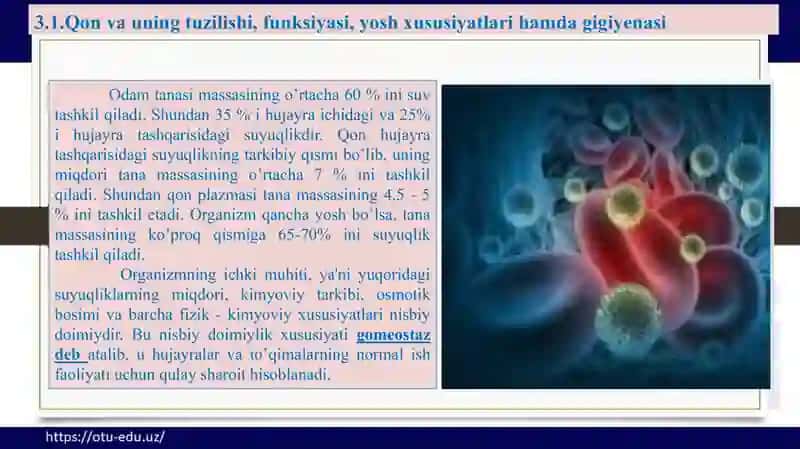 Qon, nafas olish, ovqat hazm a’zolari 2