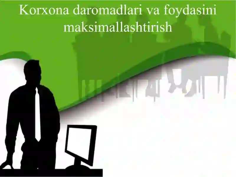 Korxona daromadlari va foydasini maksimallashtirish 2