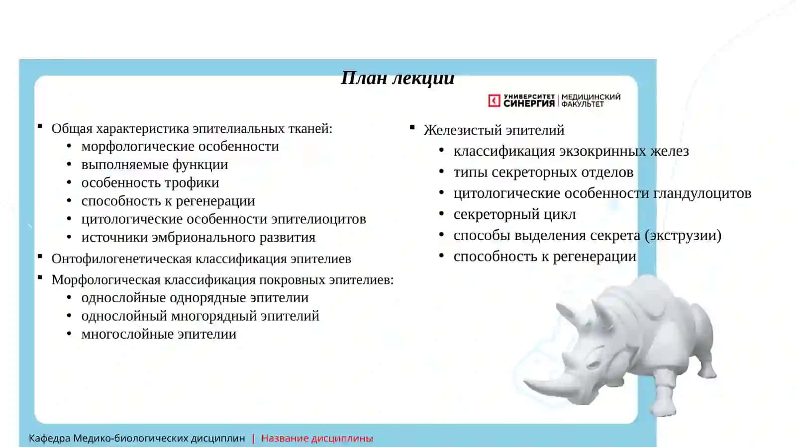 Гистология: Эпителиальные ткани 2