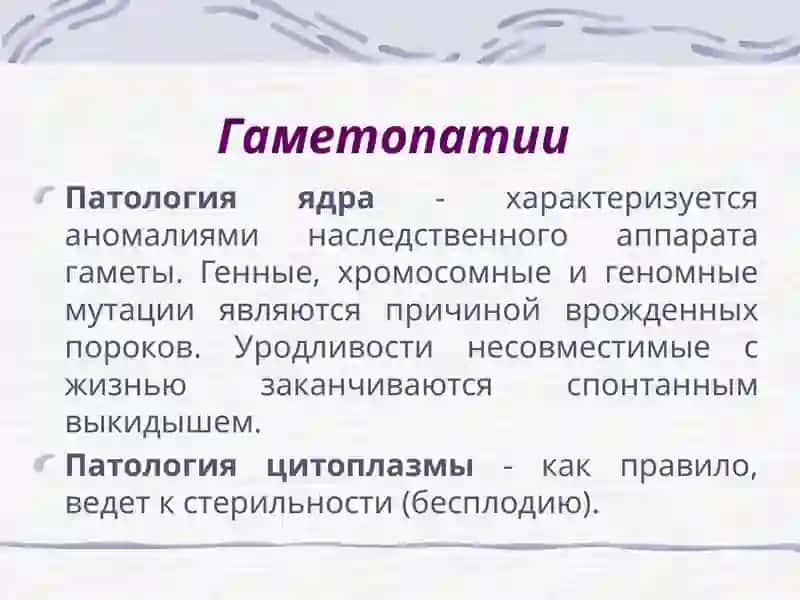 Пре- и перинатальная патология 2