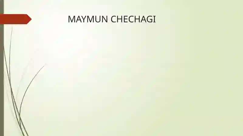 MAYMUNCHECHAGI 2