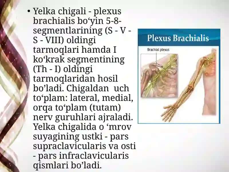 Yelka chigali 2