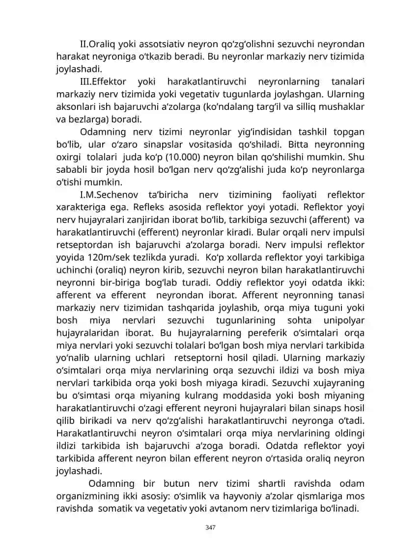 Nerv tizimi (neurologiya) 2