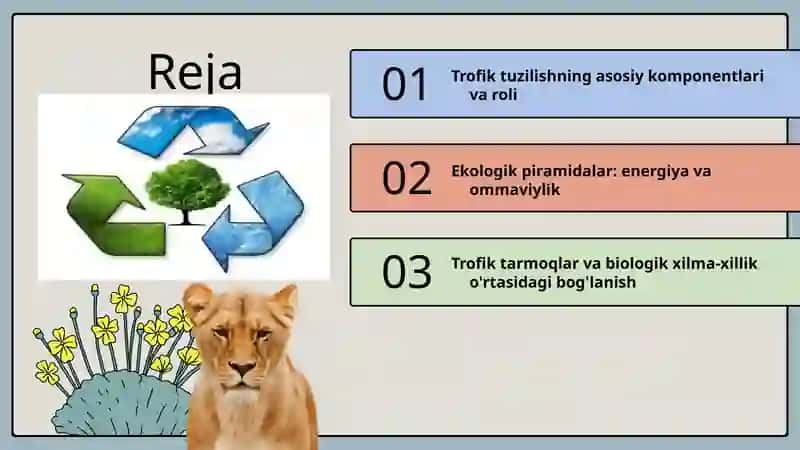 Trofik tuzilish va ekologik piramidalar 2