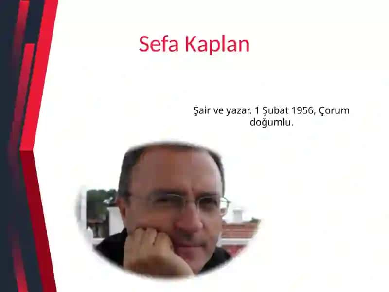 Şair ve yazar Sefa Kaplan 2