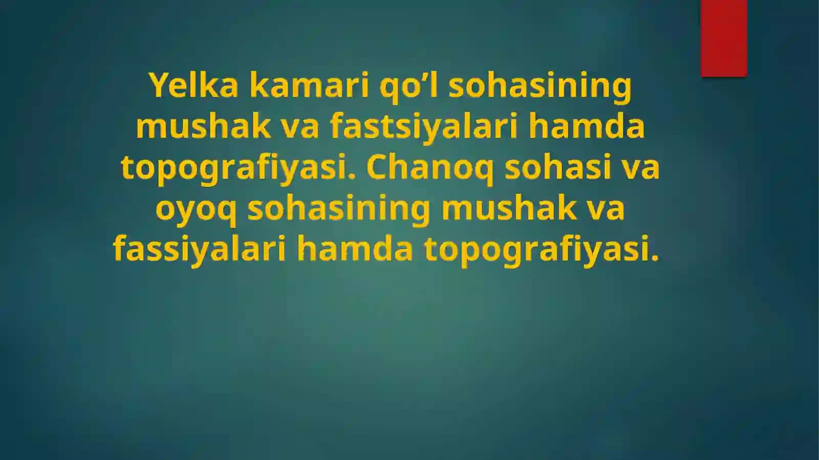 Yelka kamari qo'l sohasi 2