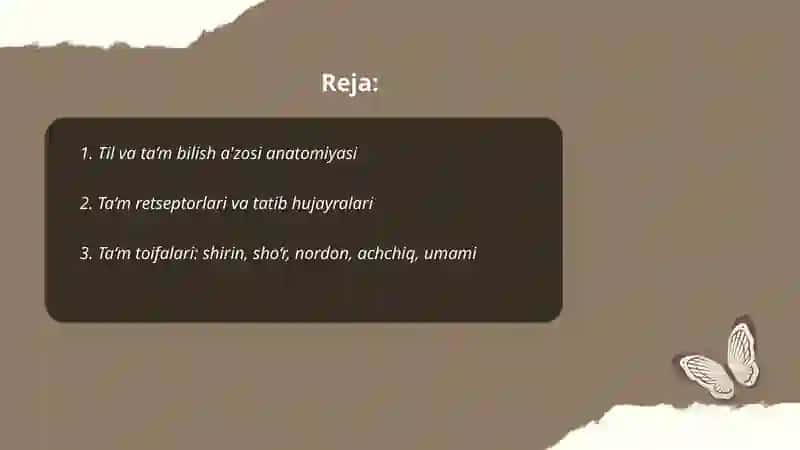 Ta‘m bilish a‘zosi anatomiyasi 2