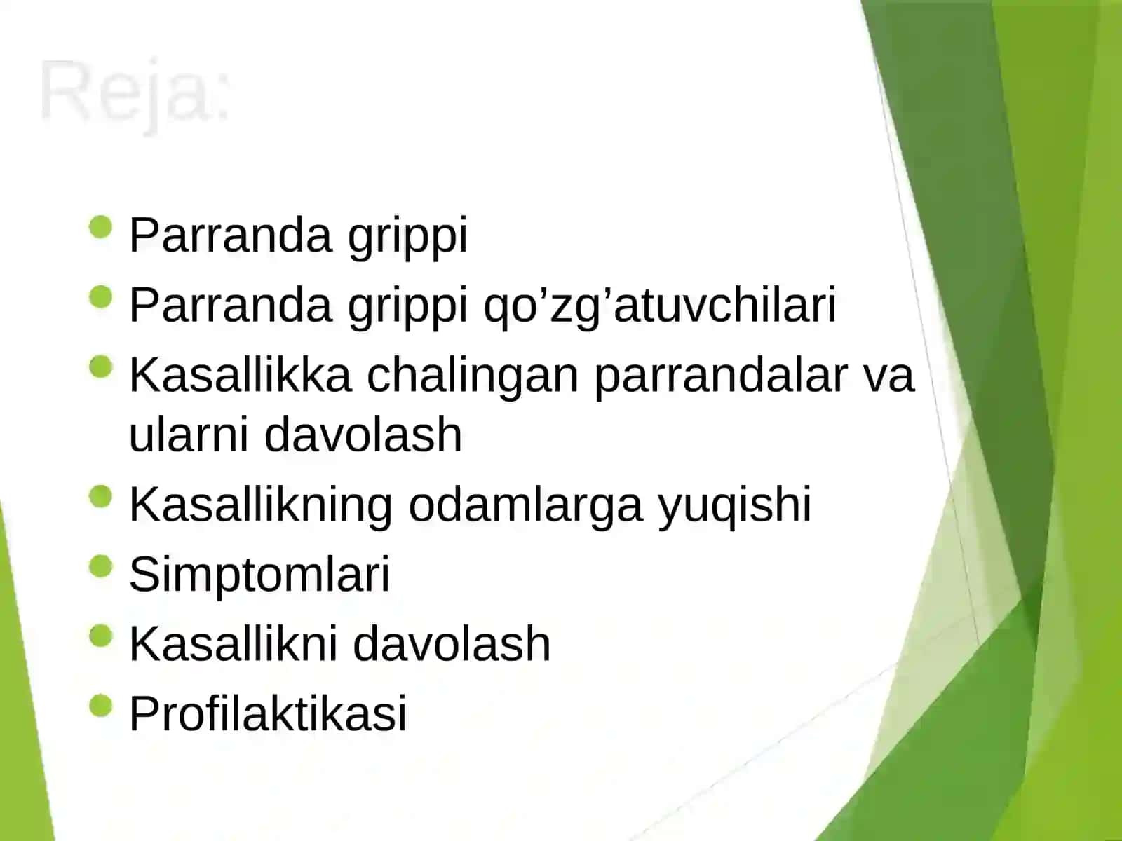 PARRANDA VA CHO’CHQA GRIPPI 2