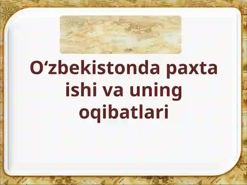 O'zbekistonda paxta ishlab chiqarish 2