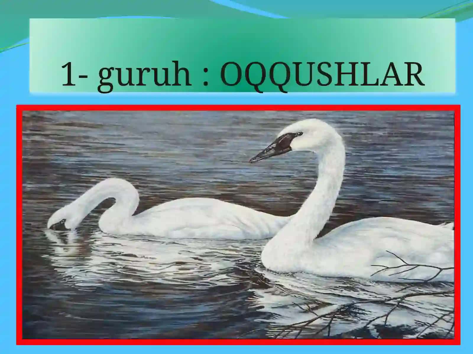 Qushlarning ko`payishi va rivojlanishi 2