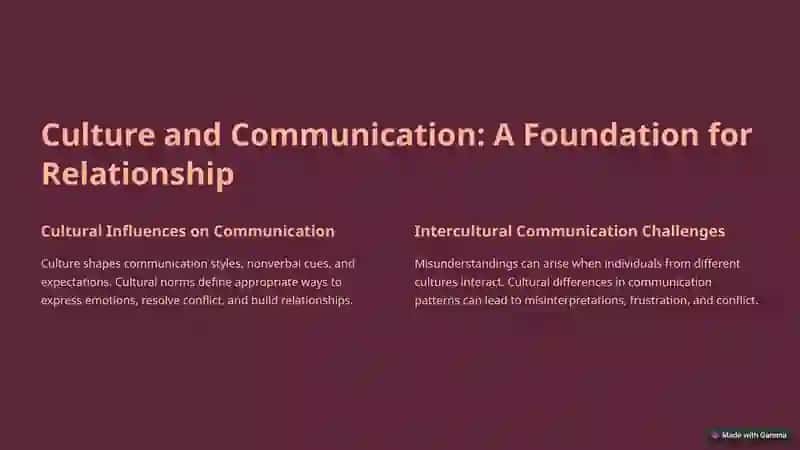 Understanding Relationship and Conflict: Cultural and Communication Influences 2