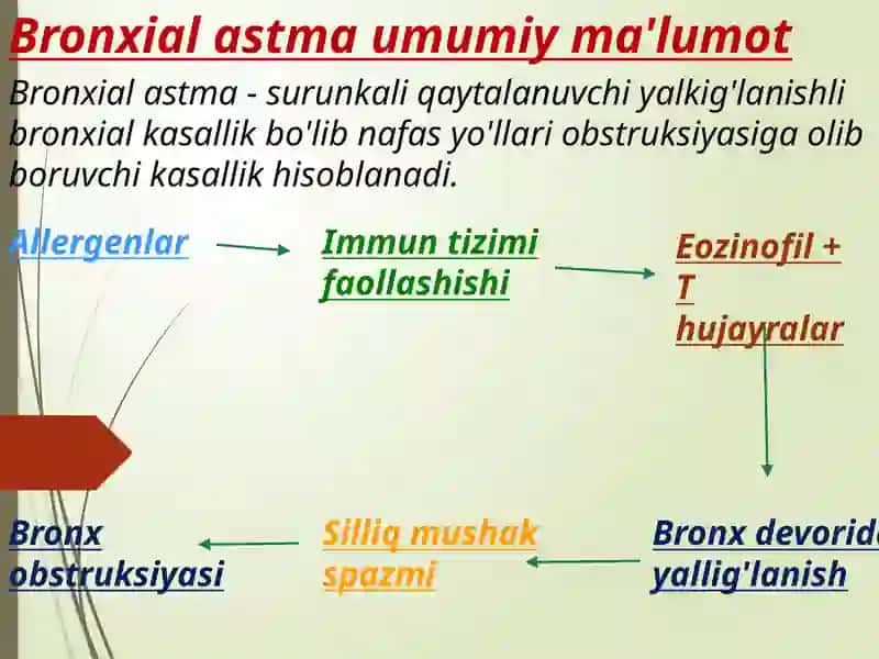 BRONXIAL ASTMA 2
