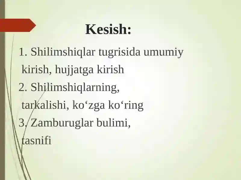 Xaqiqiyshilimshiqlar sinfitasnifi 2