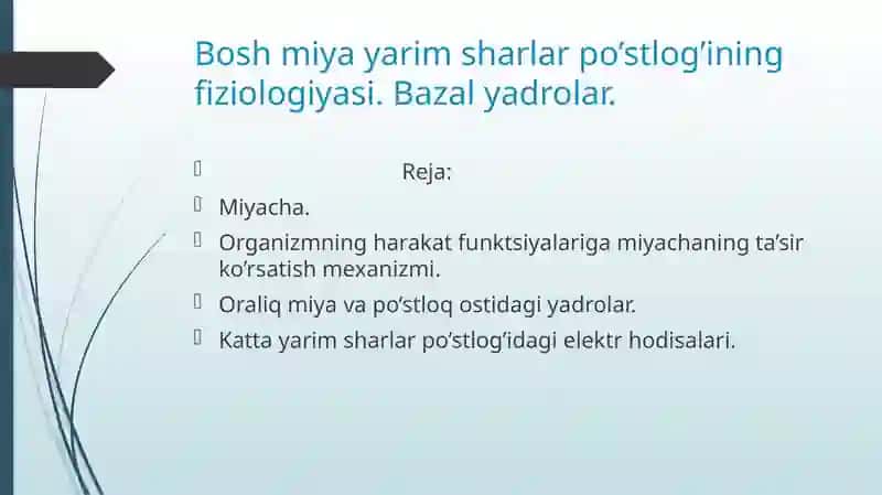 Miyacha 2