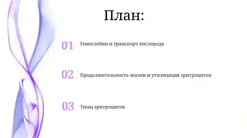 Эритроциты, виды и функции 2