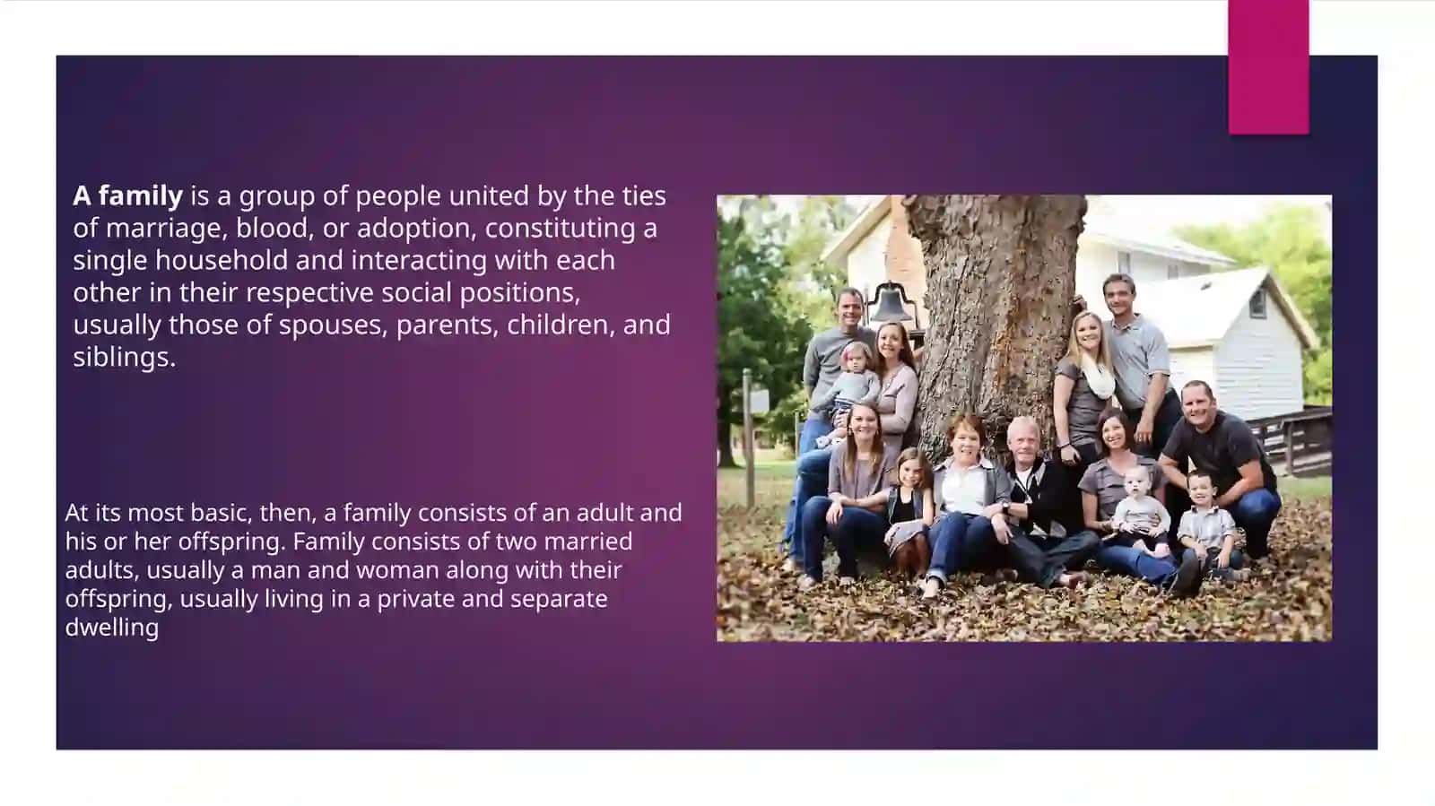 Family and Relationship 2