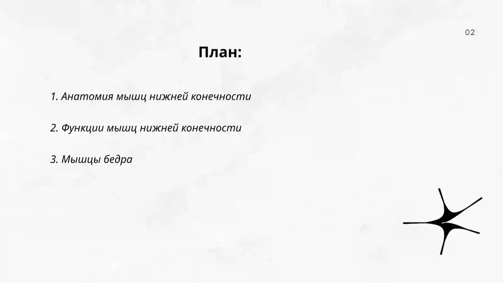 Мышцы нижней конечности 2