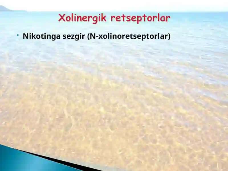 Nikotinga sezgir (N-xolinoretseptorlar) 2