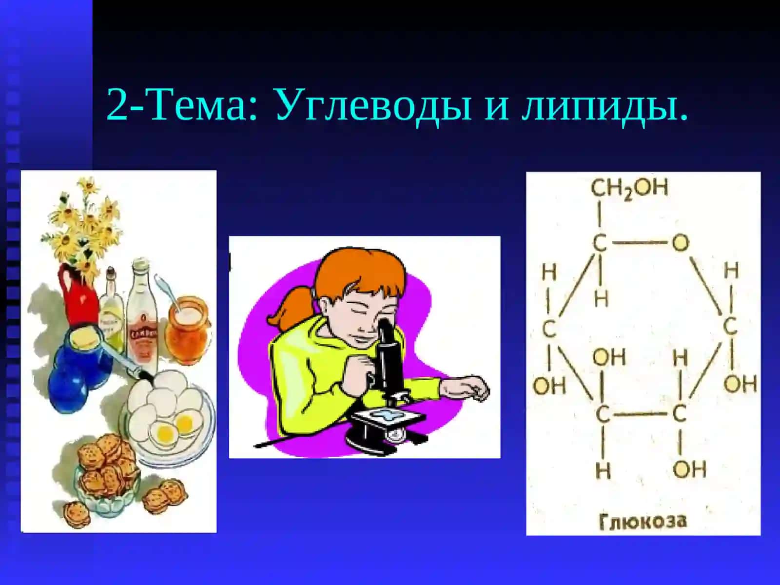 Углеводы и липиды 2