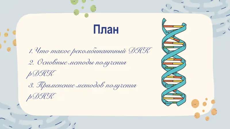 Презентация на тему: Рекомбинантная ДНК 2