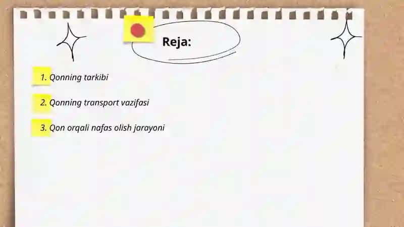 Qonning vazifasi 2