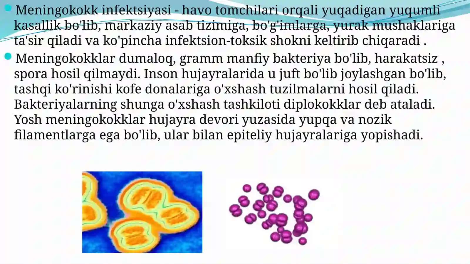 Meningokokk infektsiyasi (meningokokk) 2