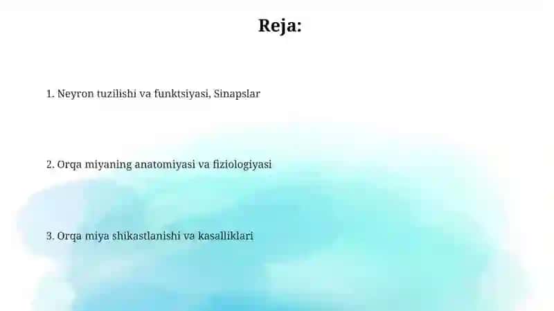 Neyron. Orqa miya tuzilishi 2