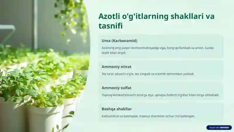Azotli o'g'itlar 2