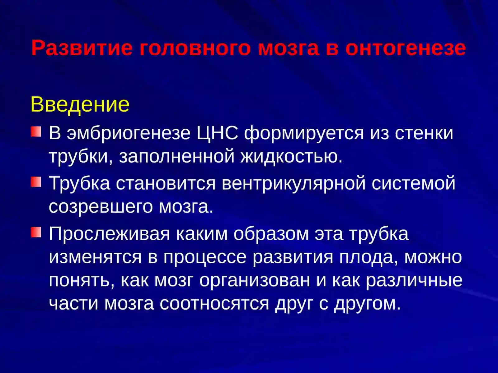 Развитие головного мозга 2