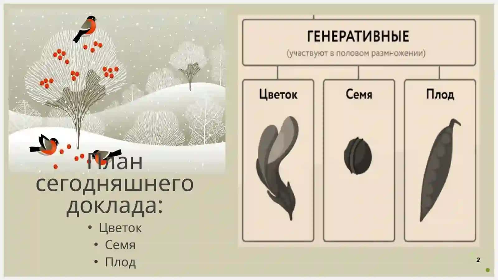 ЧЕТВЕРТЫЙ РАЗДЕЛ БОТАНИКИ 2
