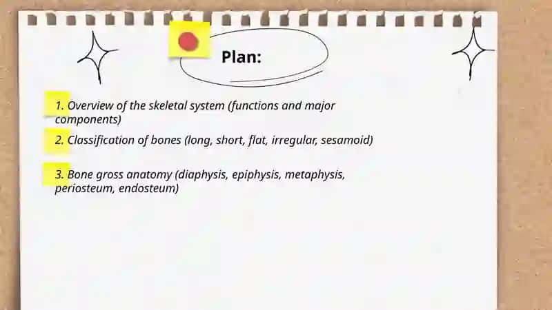 Anatomy of Skeletal System 2