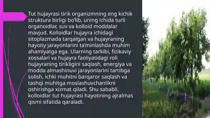 Tut hujayrasi tarkibidagi kolloidlarning ahamiyati 2