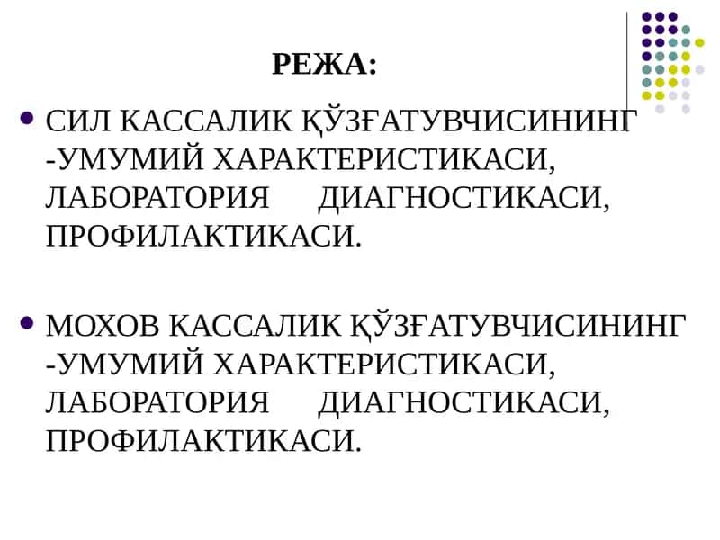 МИКОБАКТЕРИЯЛАР: СИЛ ВА МОХОВ КАССАЛИК ҚЎЗҒАТУВЧИЛАРИ. УЛАРНИ ХАРАКТЕРИС-ТИКАСИ ВА ЛАБОРАТОРИЯ... 2