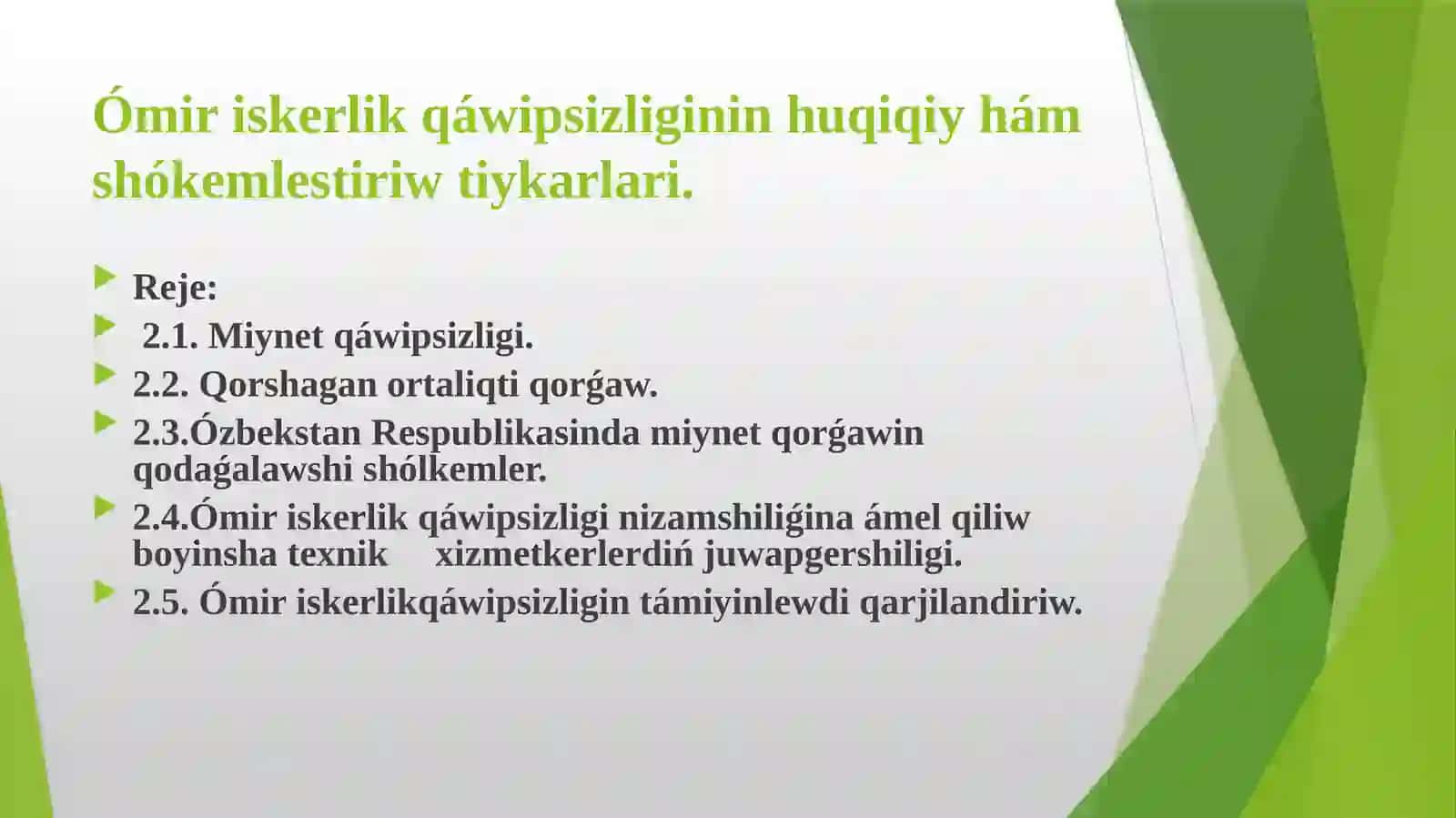 Ómiriskerlik qáwipsizligi 2