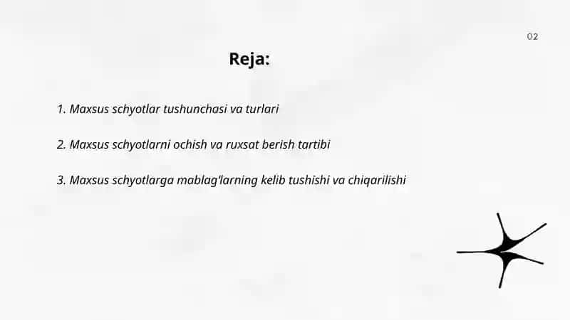 Maxsus schyotlardagi pul mablagʻlari hisobi 2