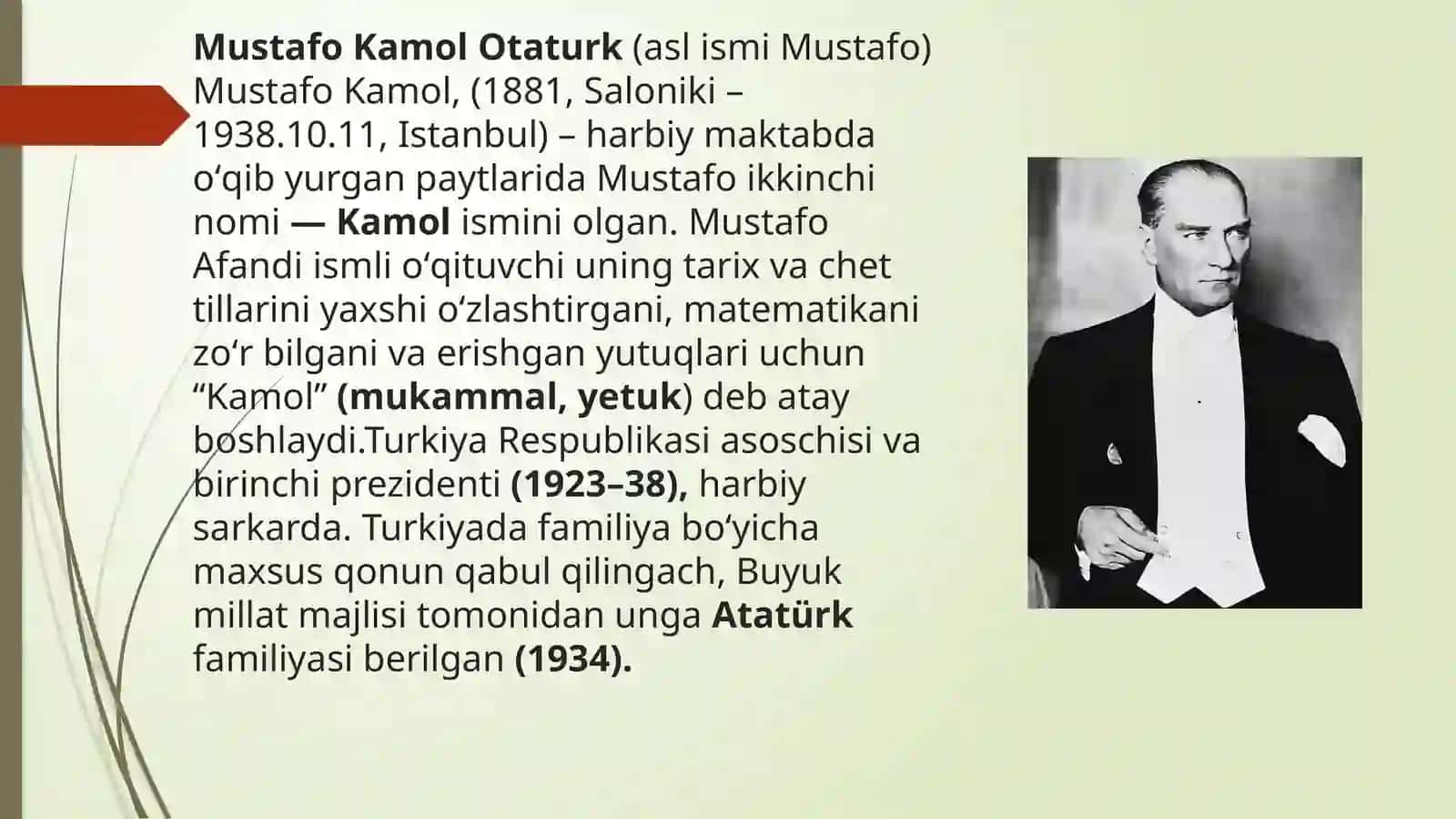 Mustafa Kamal Otaturk va uning siyosiy faoliyati 2