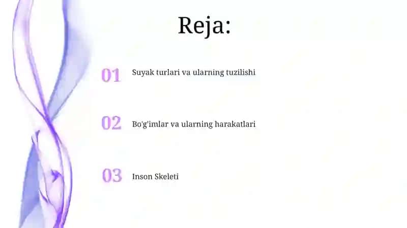 Suyaklarvaularningbirikishi 2