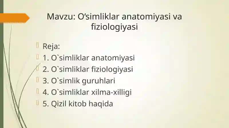 O‘simliklar anatomiyasi va fiziologiyasi 2