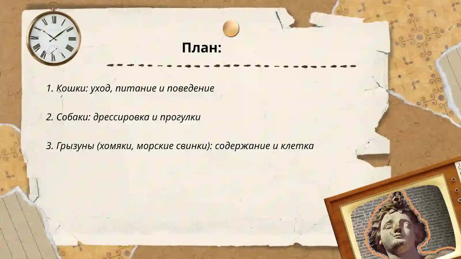Мои домашние животиные 2
