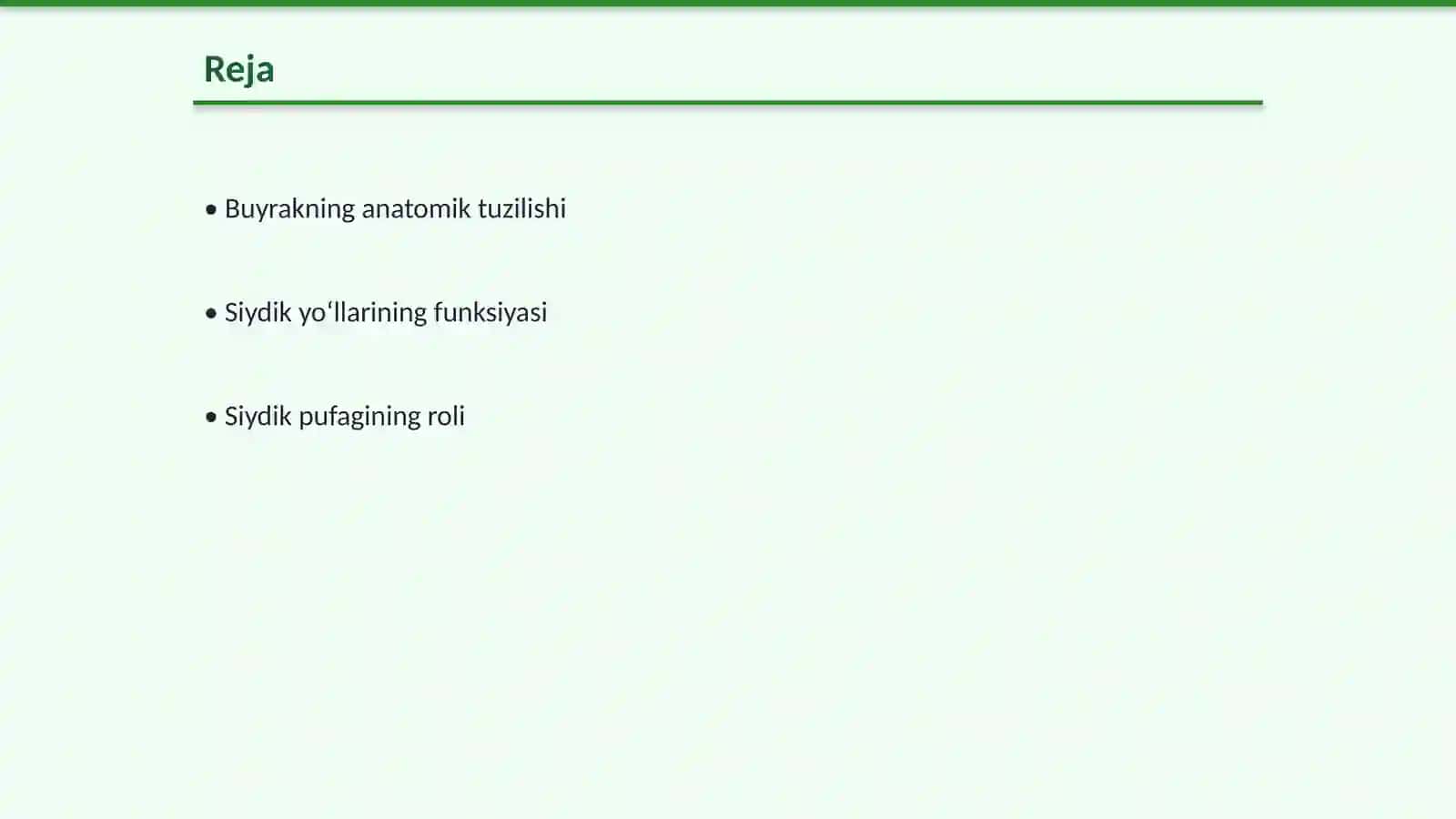 Buyrakning anatomik tuzilishi 2