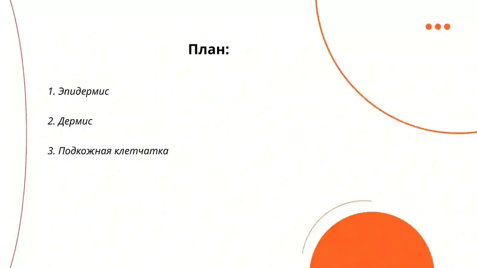 Строение и состав кожи 2