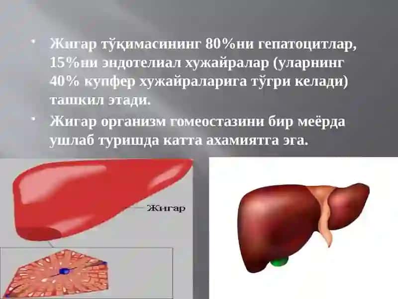 откир жигар йетишмовчилиги 2