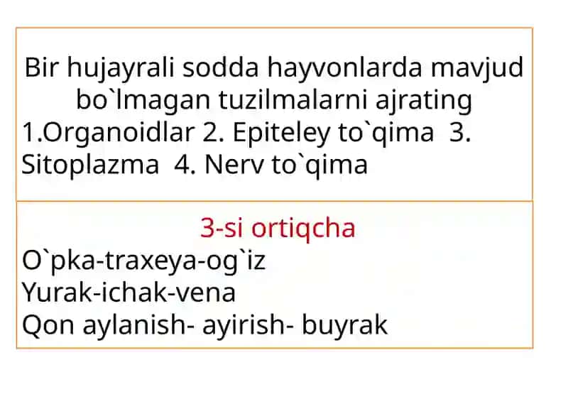 Soxtaoyoqlilarsinfi 2